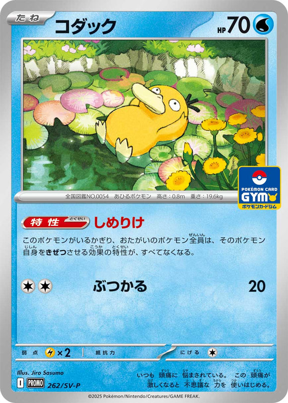 ★特価品★コダック(262/SV-P)【プロモ】