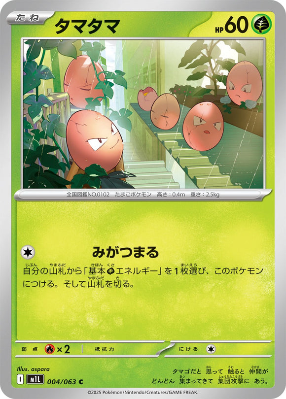 タマタマ(004/063)【M1L】